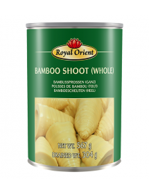Bamboo Shoot (Whole) - 567g